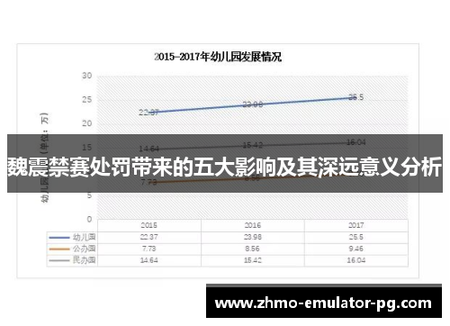魏震禁赛处罚带来的五大影响及其深远意义分析