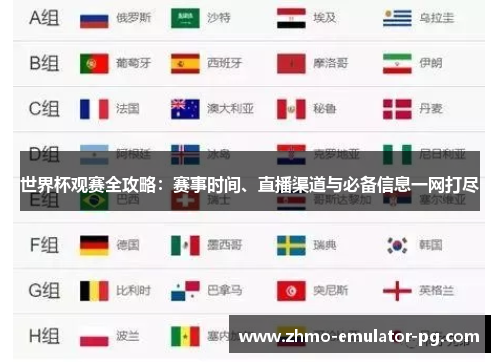 世界杯观赛全攻略：赛事时间、直播渠道与必备信息一网打尽