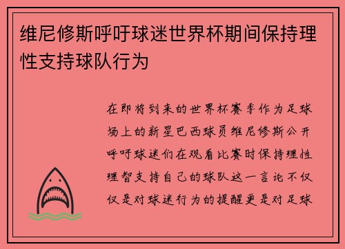 维尼修斯呼吁球迷世界杯期间保持理性支持球队行为